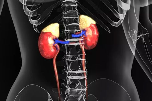 Лечение гиперальдостеронизма в Израиле
