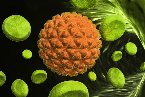 Лечение рака придатка яичка в Израиле | Ихилов