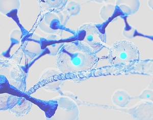 Ученые обнаружили белок, способный бороться с раком